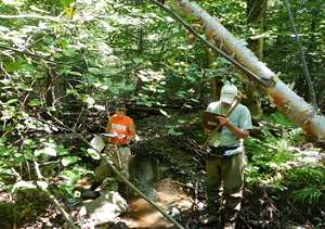 Molly McCool (left) and Jerry Storey (right) perform a geomorphic assessment of a Duluth area stream.