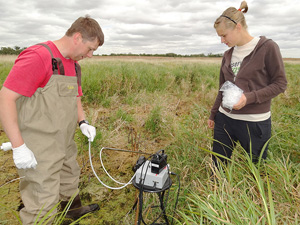Mike Menheer and Kristen Kieta using a minipiezometer to sample the near-surface groundwater in Renville County