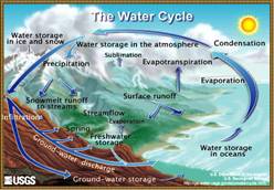 The Water Cycle. 