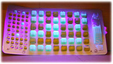 Lab tests for ecoli bacteria in water uses ultraviolet light to display the results.