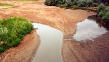 Picture of drought conditions at the Rio Grande at Bernardo, Minnesota.