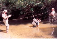 Science team taking a water measurement.