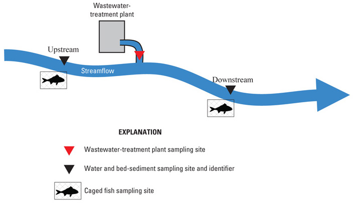 Project schematic