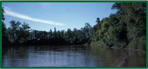 A view of Mississippi River