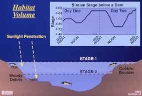 Habitat volume graph