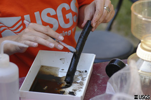 Periphyton processing at Shingle Creek