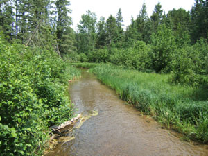 Mississippi River at Lake Itasca, MN