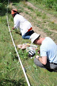 Bemidji fieldwork