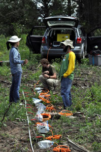 Bemidji fieldwork